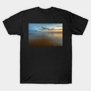 Worms Head from Llangennith, Gower T-Shirt